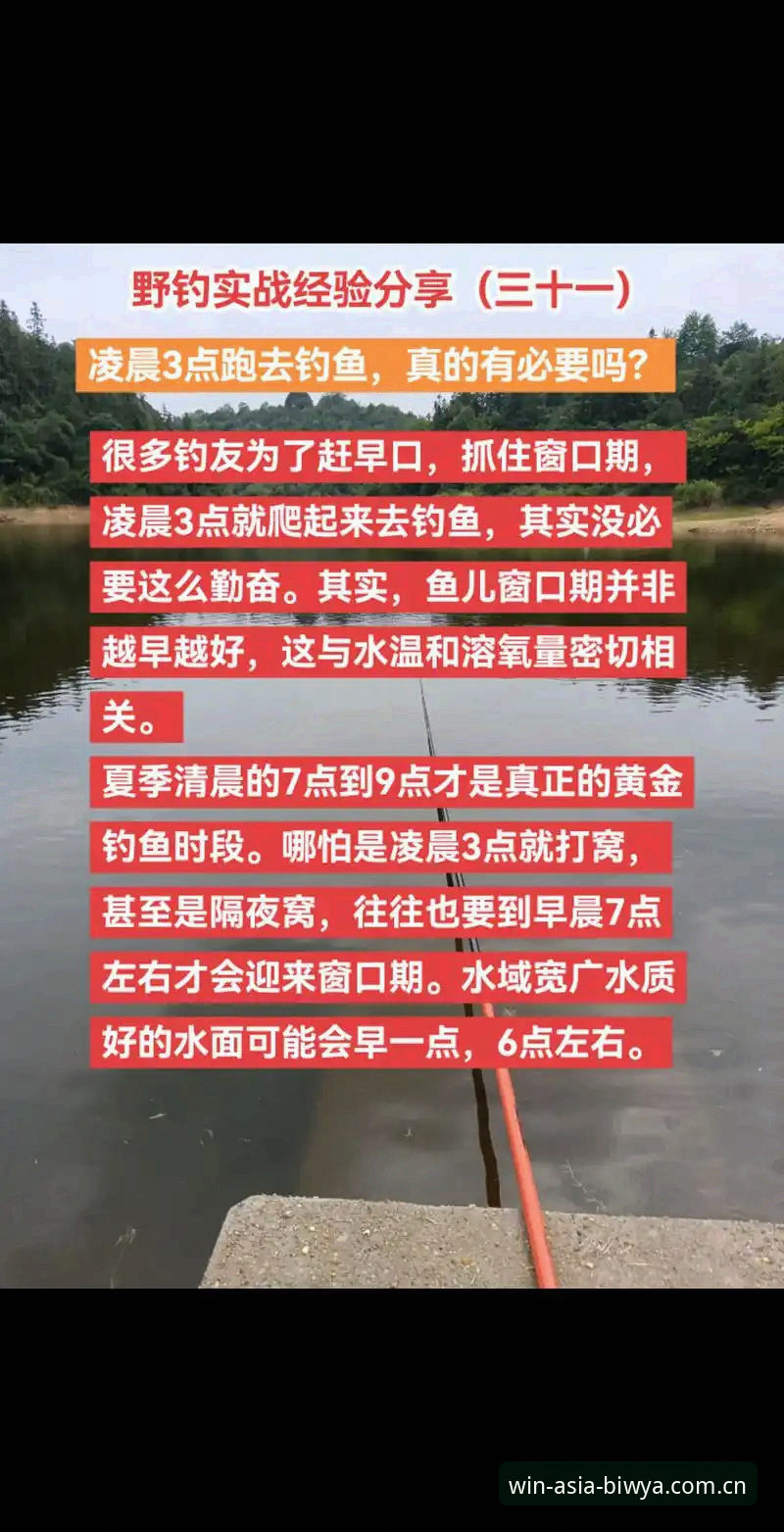 实战经验分享：资深用户详解必赢亚州集成服务，2025数据与登录全攻略