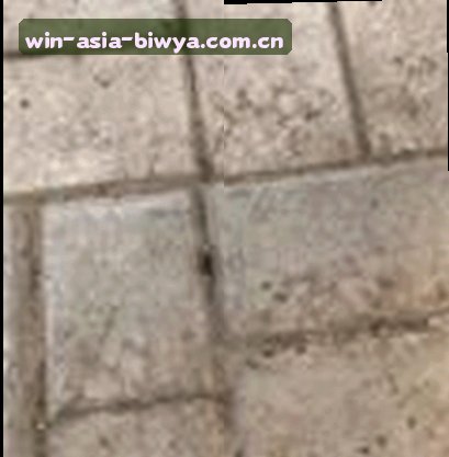 刘芳